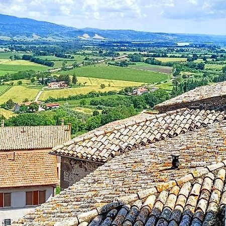 Вилла Domus Claudia Castiglione In Teverina Экстерьер фото