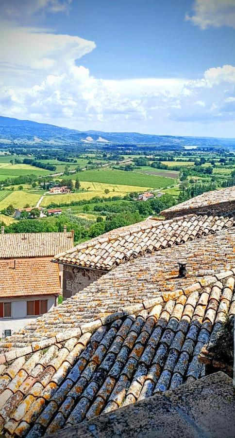 Вилла Domus Claudia Castiglione In Teverina Экстерьер фото