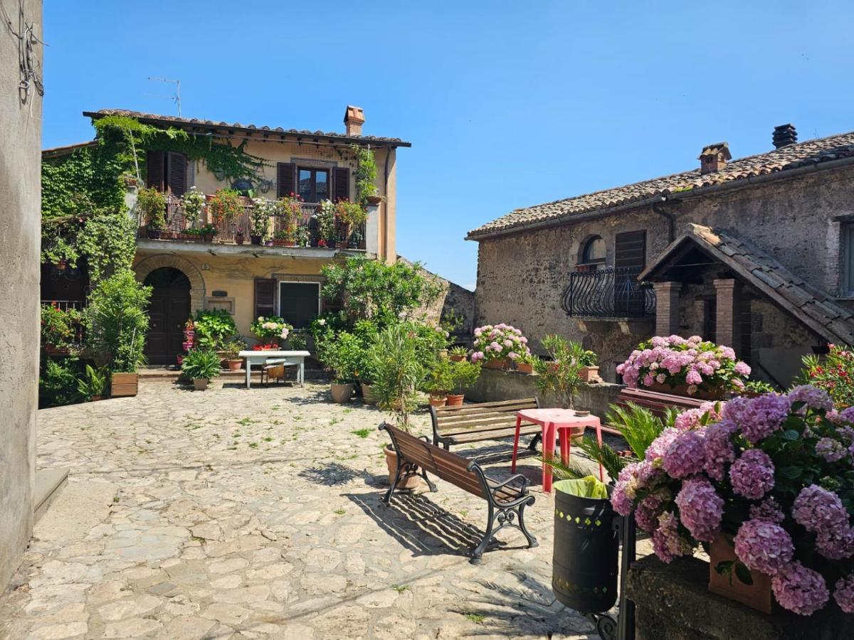 Вилла Domus Claudia Castiglione In Teverina Экстерьер фото
